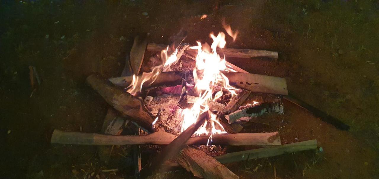Kuttālam Oonjal Veedu 아파트 외부 사진